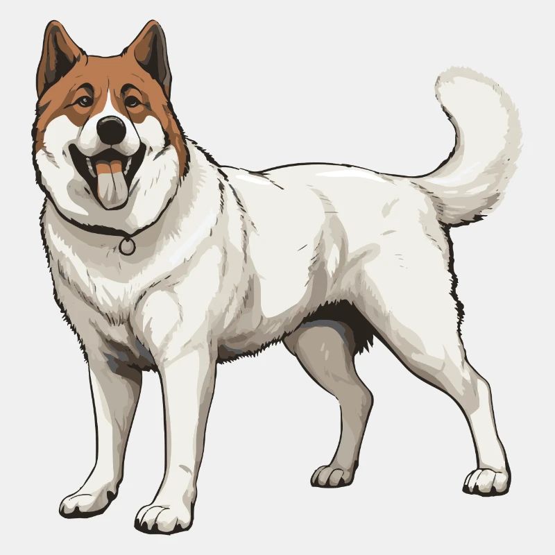 Akita Hund