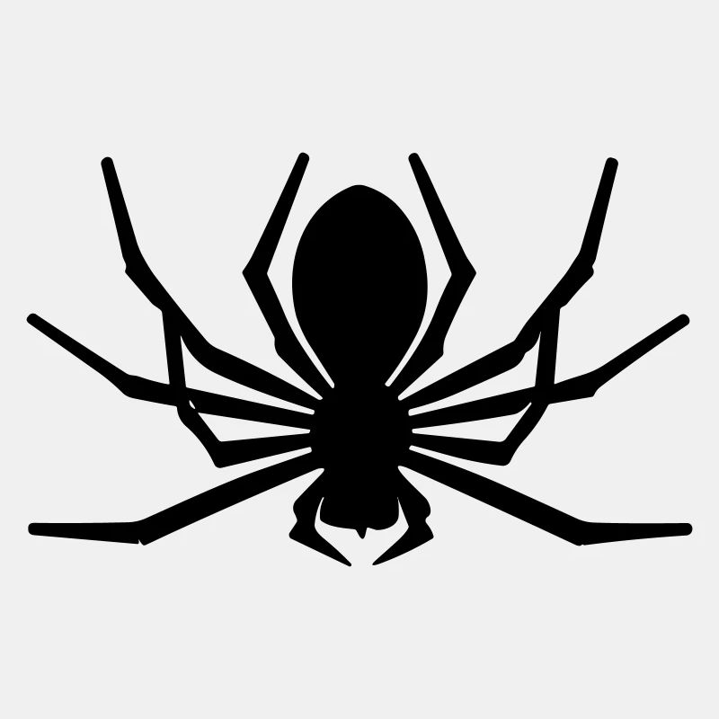 araignée