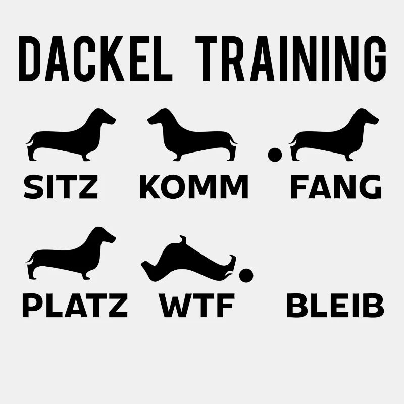 Dackel Training