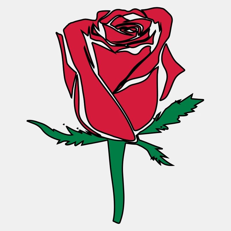 Rose Blume