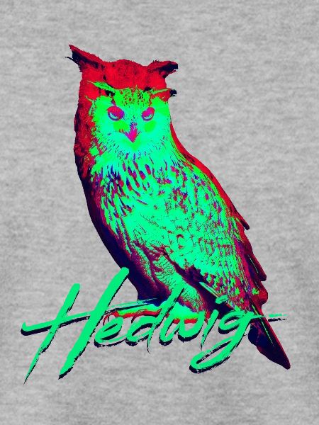 Hedwig Owl