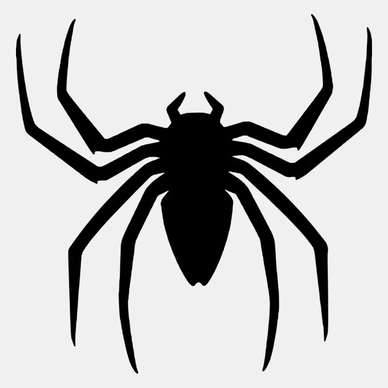spider27