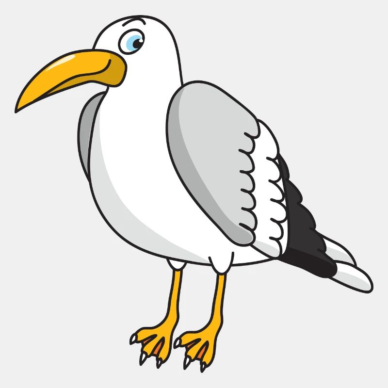 mouette