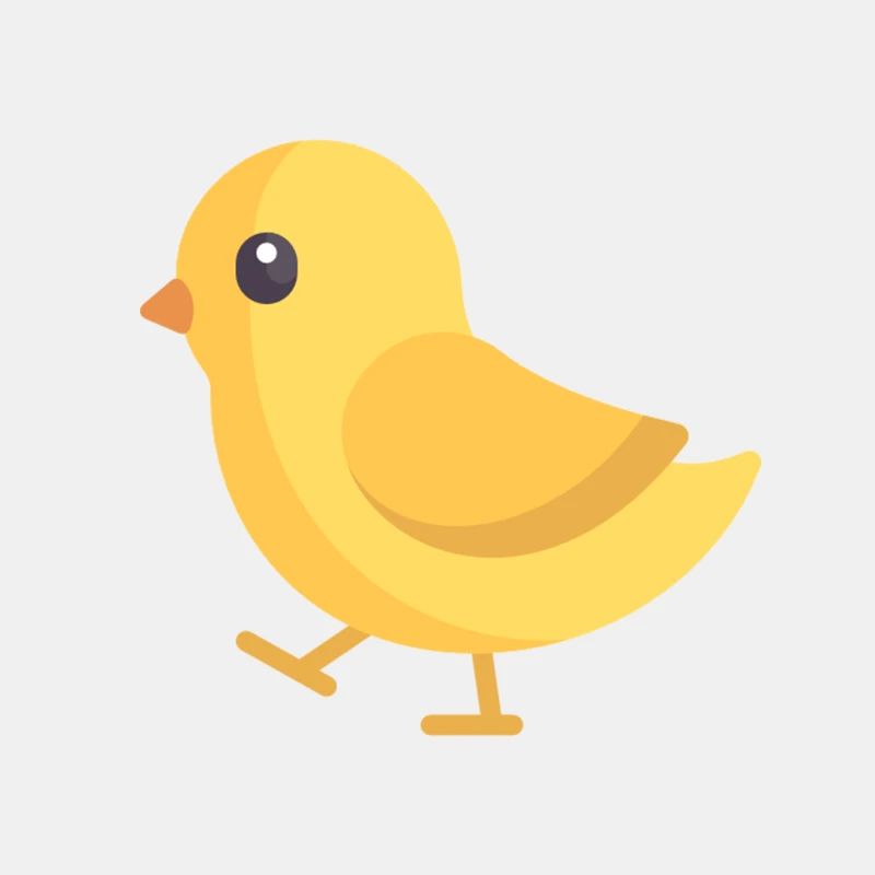 poussin jaune en cours d'exécution