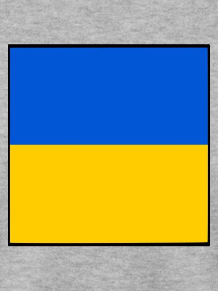 Ukraine flagge