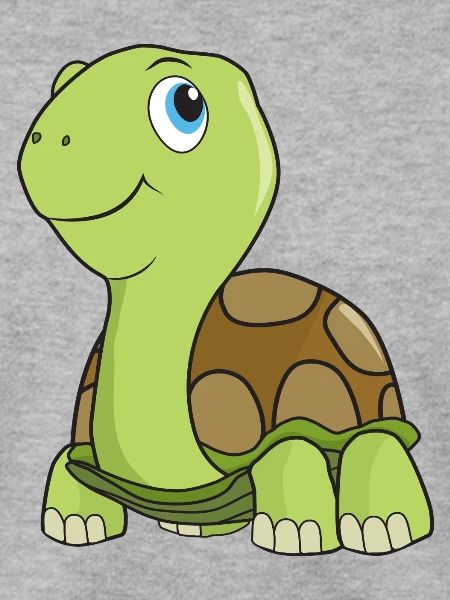 Tortoise turtle