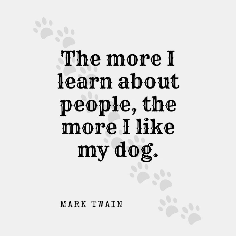 J'aime mon chien.