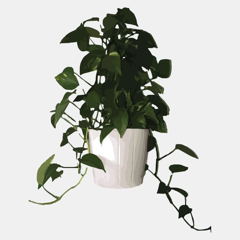 Plant O' Plenty