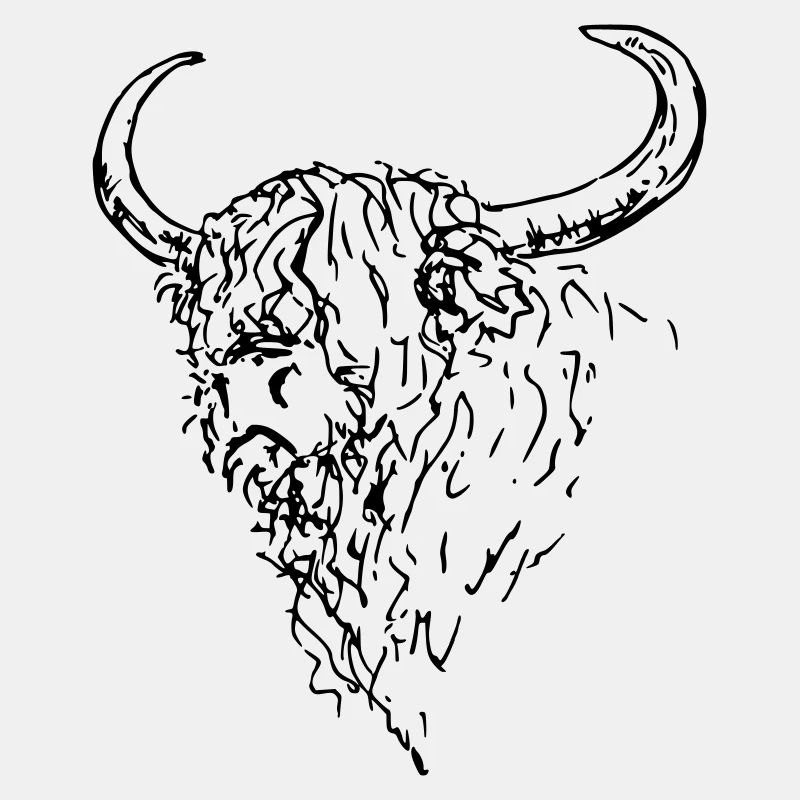 Harte Strichzeichnung Schottischer Highlander oder Büffel