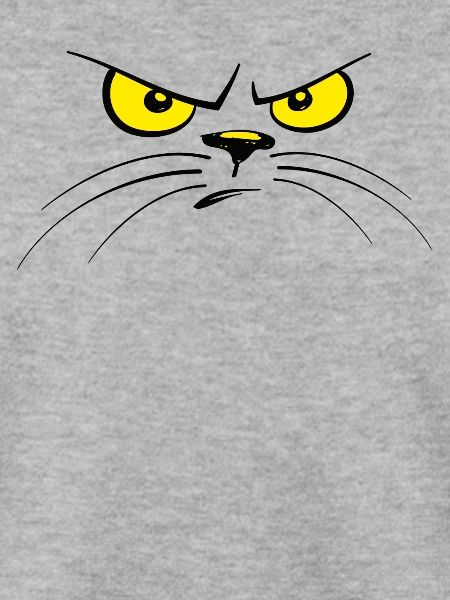 Katze Katzen Katzengesicht böse