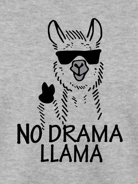 NO DRAMA LAMA