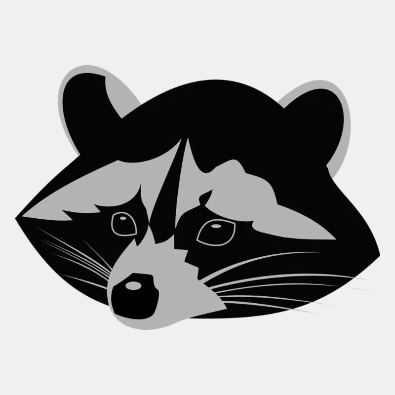 Waschbär ,Racoon