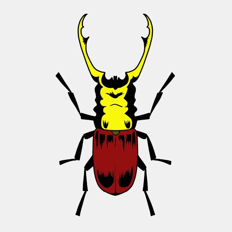 Scarabée insecte insecte
