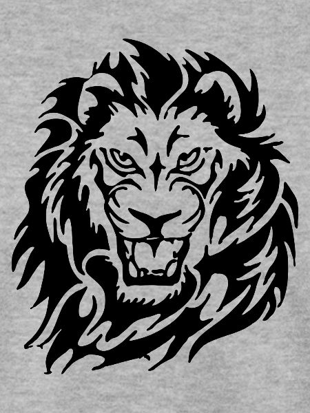 Angry Lion