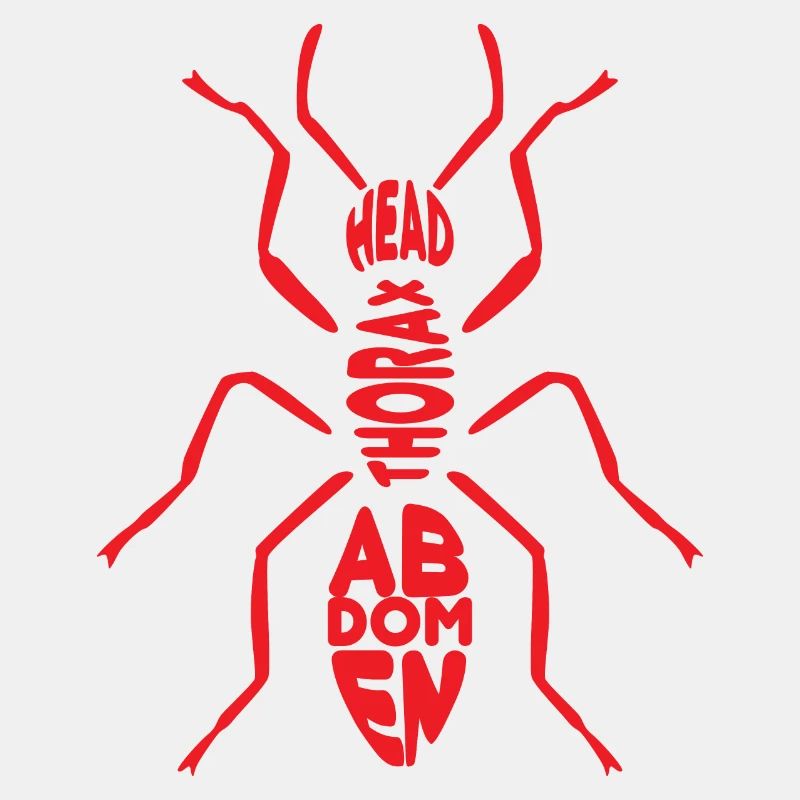 Ant 2 04