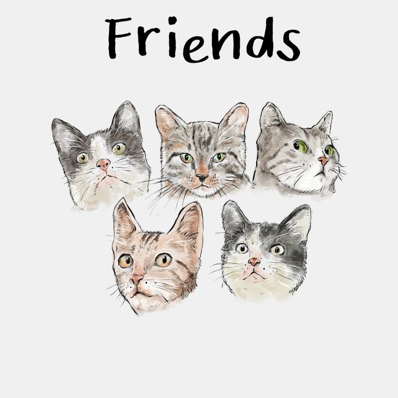Freunde Katze