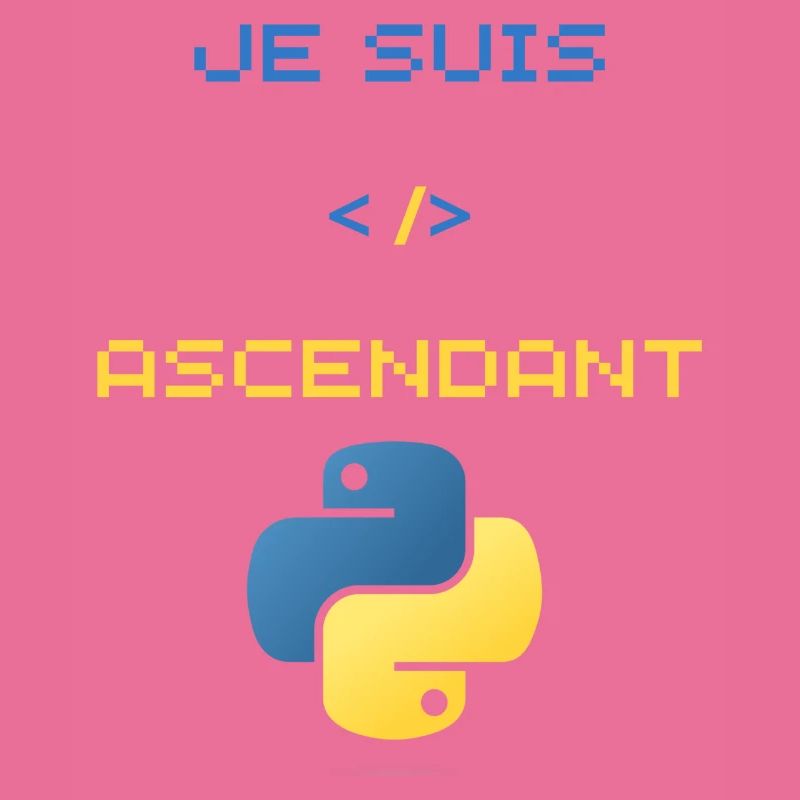 Gift for Python Developer