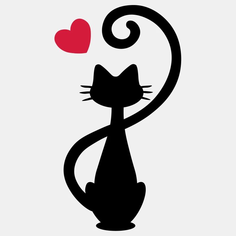 Chat - chat dame - chat - chat - minou
