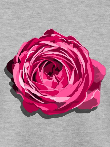 Blüte einer Roten Rose