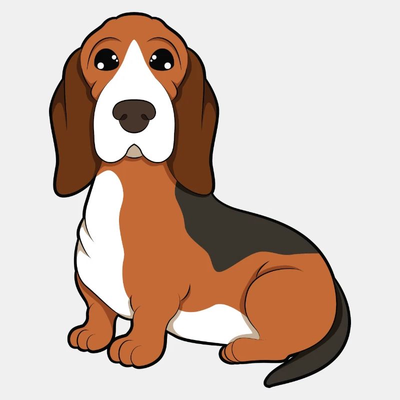 Basset Hound