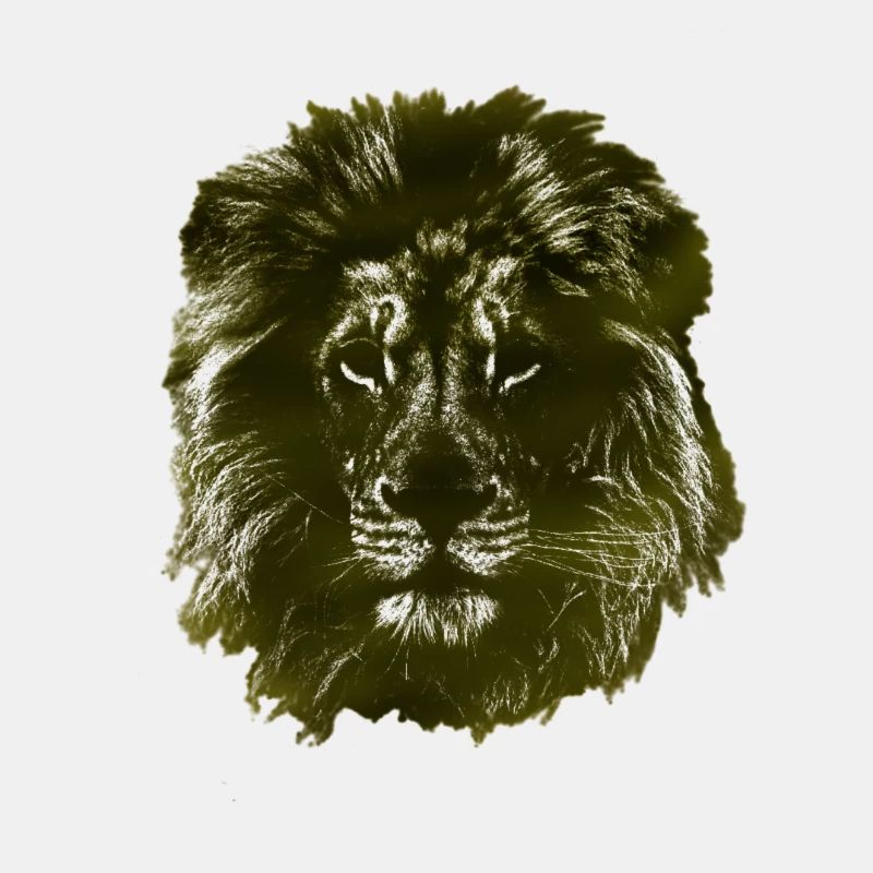 LöweGoldSchwarz