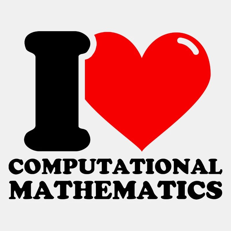 I love computational mathematics
