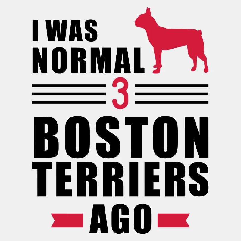 Boston Terrier