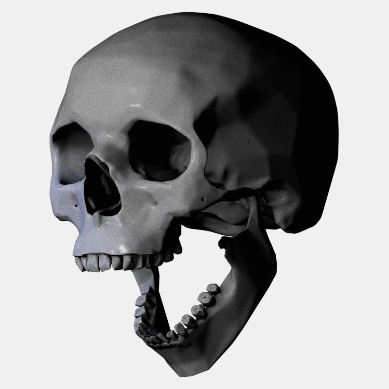 Skull