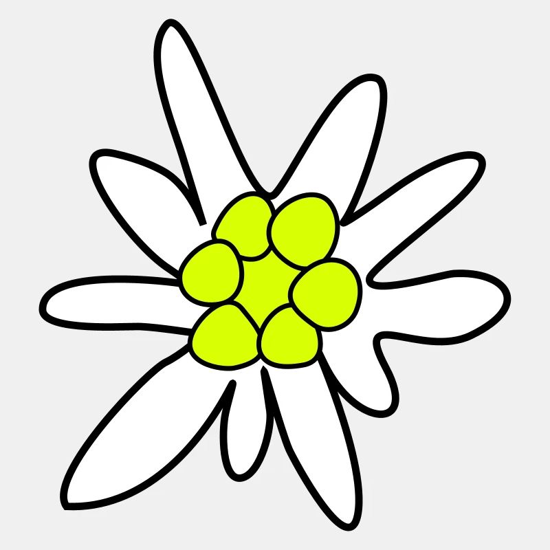 Edelweiss