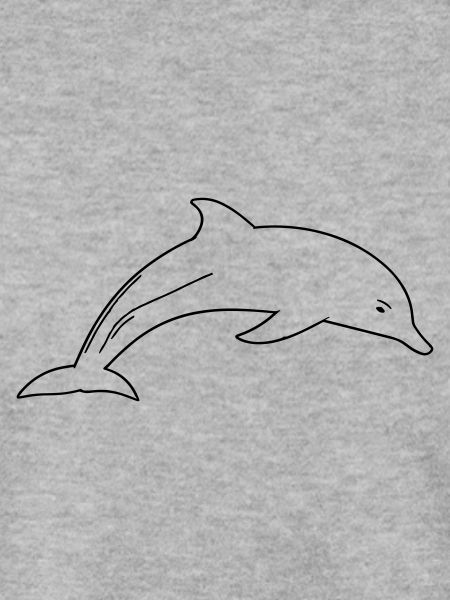 Dolphin