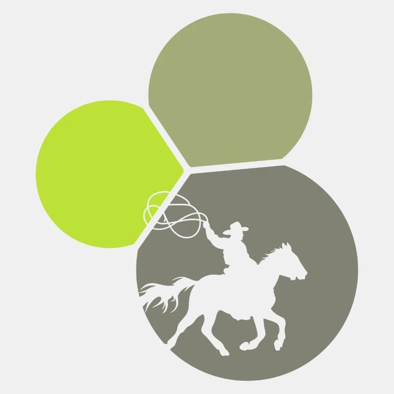 Western Rodeo Lasso