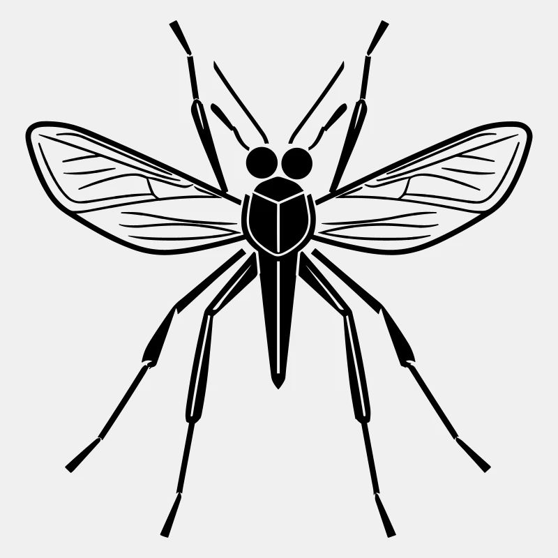 mosquito