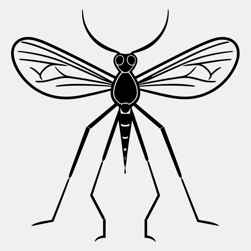 Mosquito