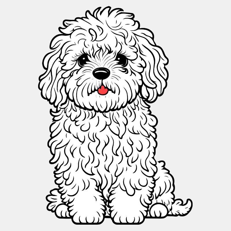 Süßer Maltipoo Pudel Malteser