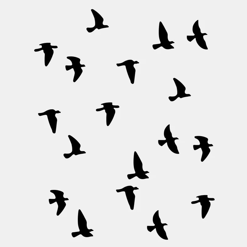 Bird Flock