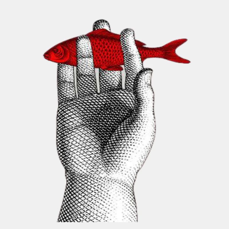 Fisch aus dem Wasser