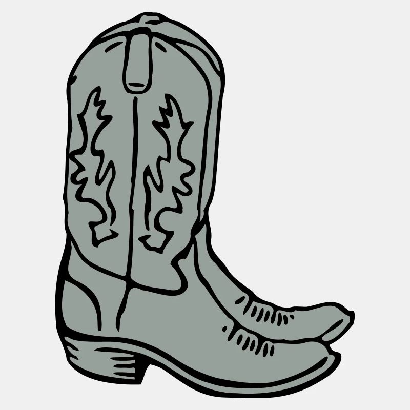 Bottes de cowboy 2C