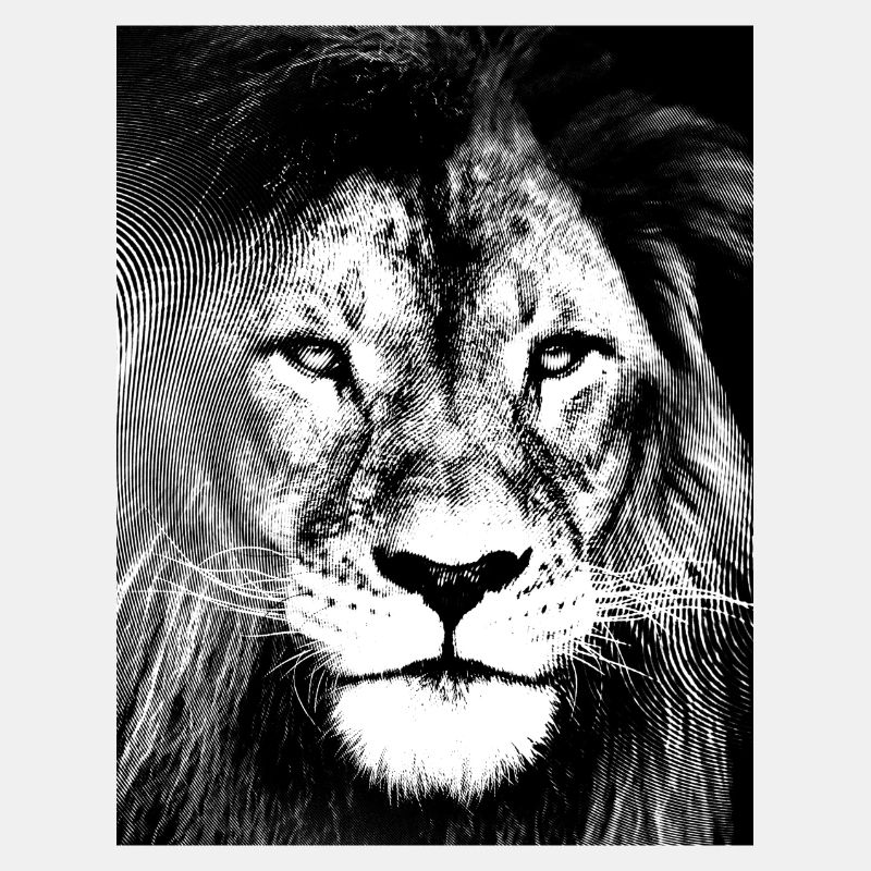 Lion black and white design