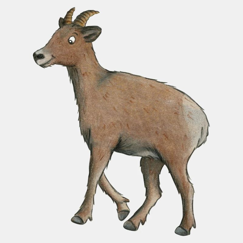 Bergziege