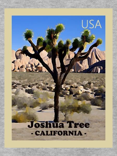 Joshua Tree Nationalpark