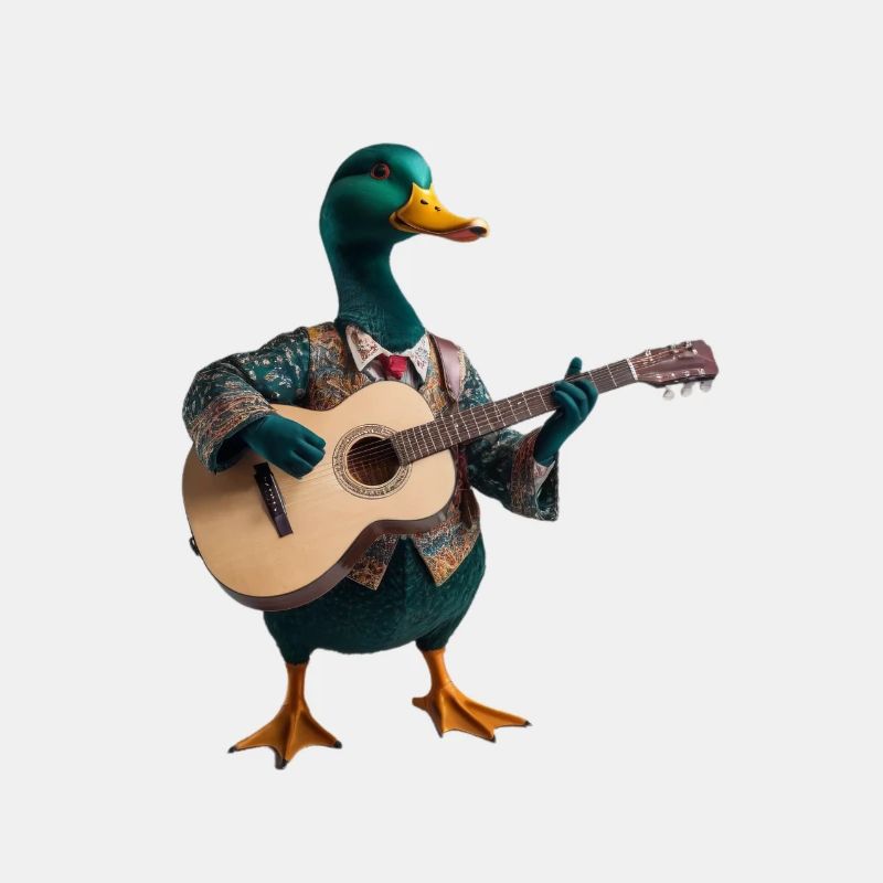 Mallard Duck Gitarre