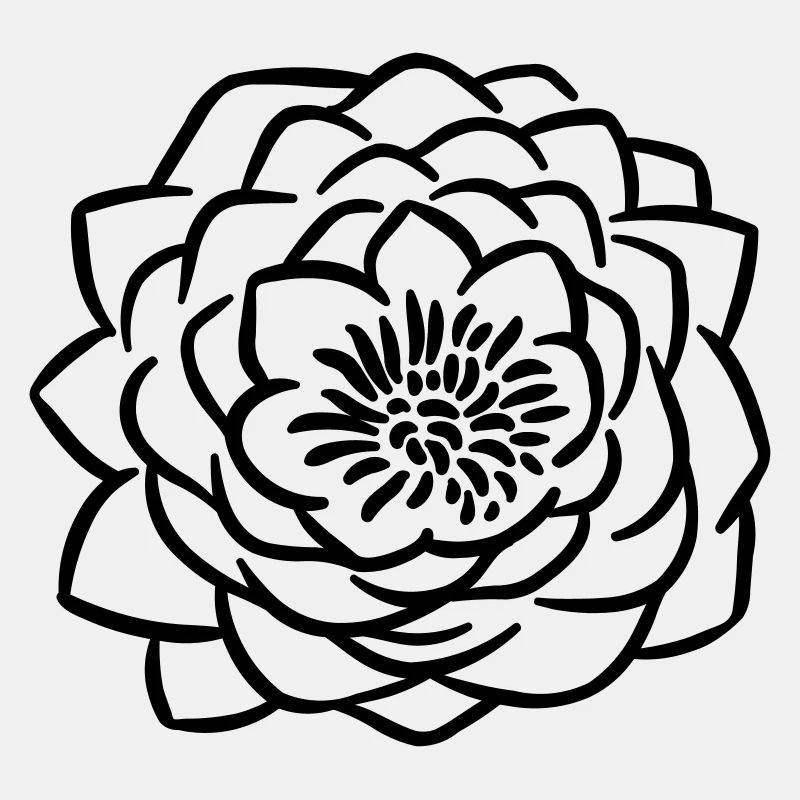 Lotusblume 4