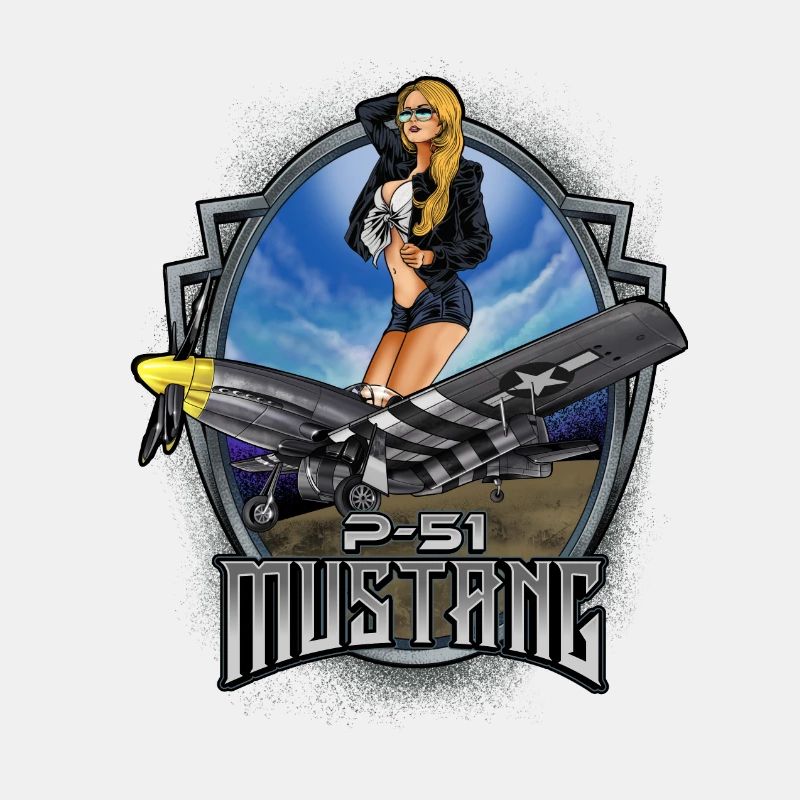 P-51 Airforce Pilot Gift