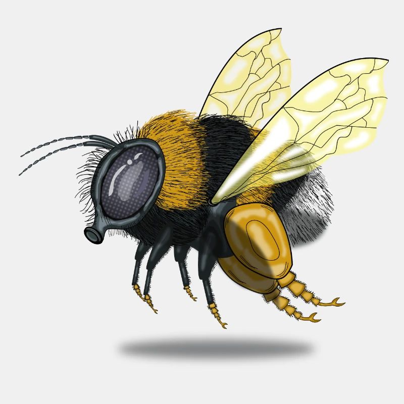 Hummel Imker Naturschutz Geschenk