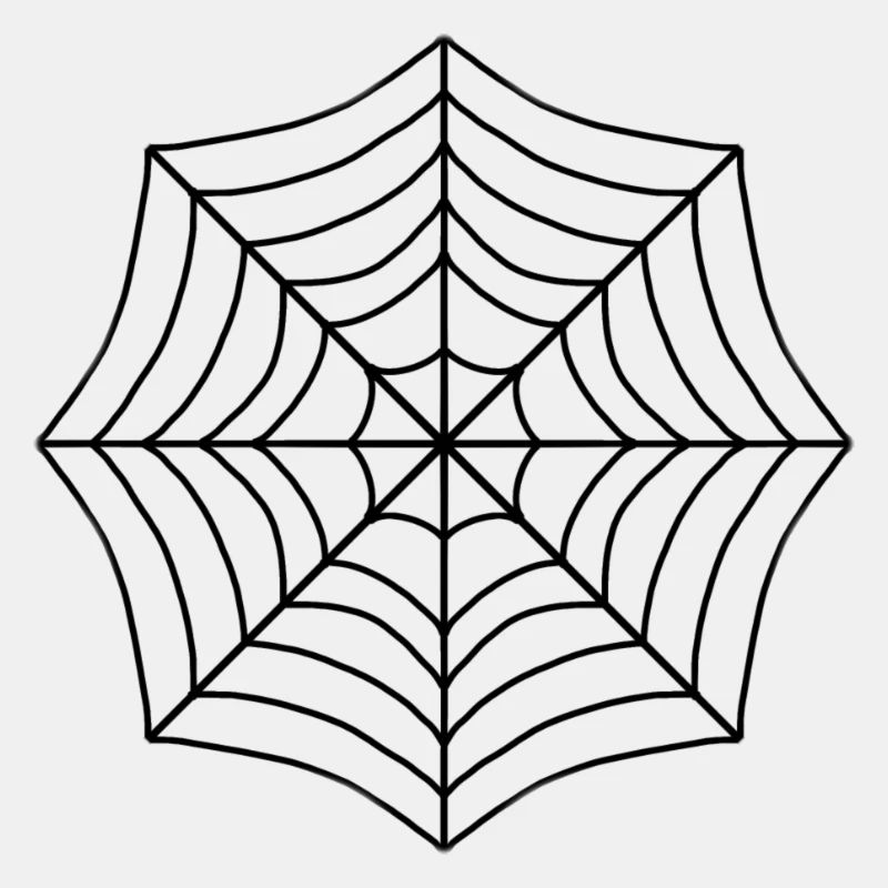 Spider web black