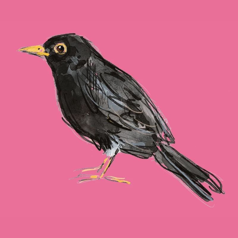 Amsel
