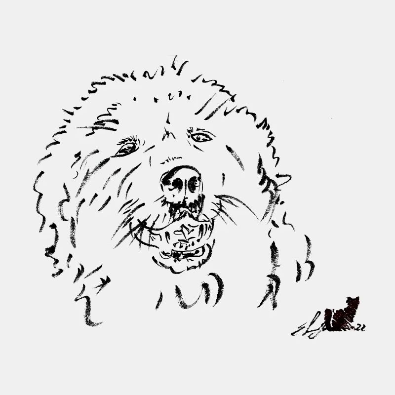 MAREMMA-HUND