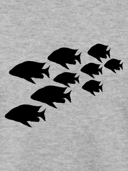 Fischschwarm