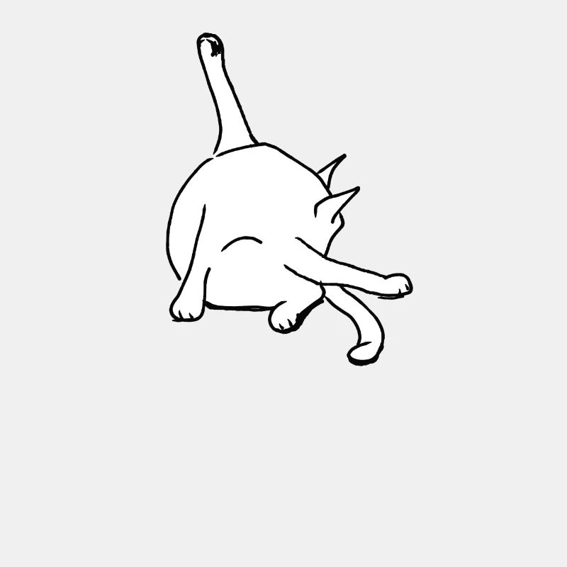 Cat Washing Bottom