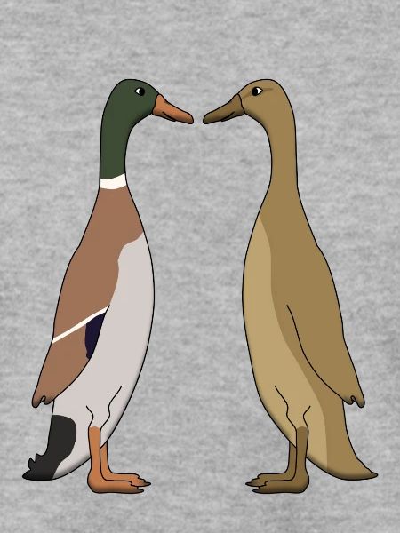 Ente und Ente